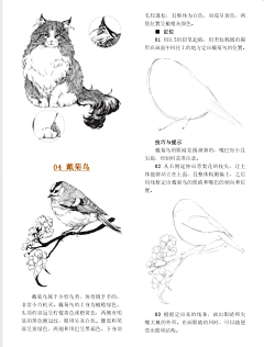 万银采集到动漫,线稿