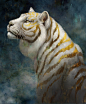 Cat Portraits : Portrait paintings of tigers.