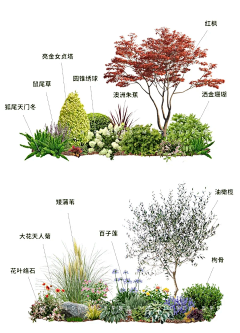 植物配置-花瓣网|陪你做生活的设计师 | 春意盎然，户外小花箱组景