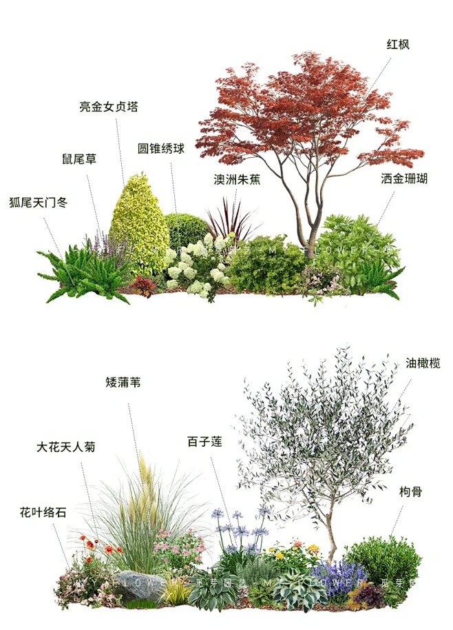 一定要收藏的3款植物花境｜秋冬季实用不踩雷