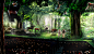 Beau Walters - DISCOVERY RAINFOREST RESORT