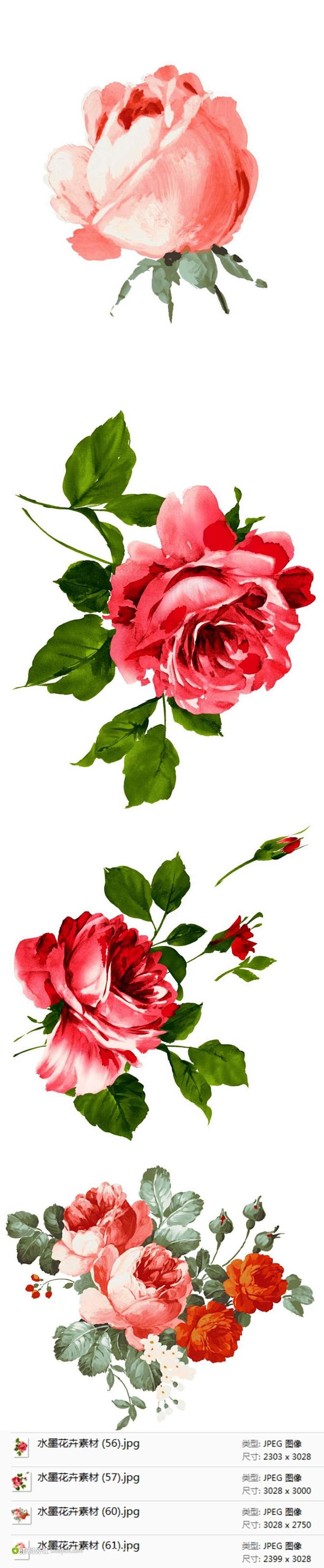 玫瑰花插画素材