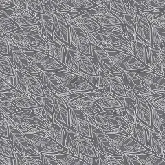 向量羽毛背景
