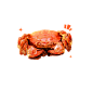 大闸蟹