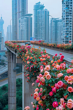 滚滚来采集到背景