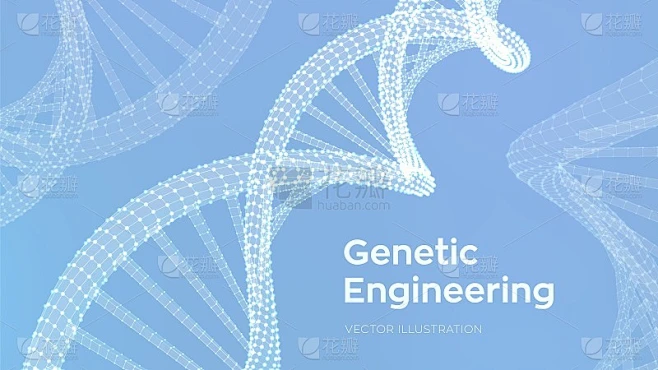 DNA序列。线框DNA分子结构网。DNA代码可编辑模板。科学技术概念。矢量插图。素材-花瓣网