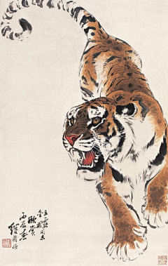Flawlesschao采集到T Tiger