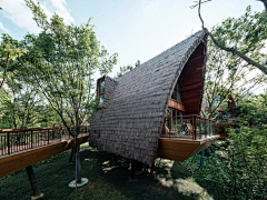 TreeLANDSCAPE采集到景观 ——文旅篇