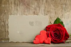 玫瑰,情人节卡,红色,纸,文字,美,贺卡,边框,水平画幅,形状