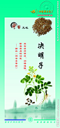 决明子源文件