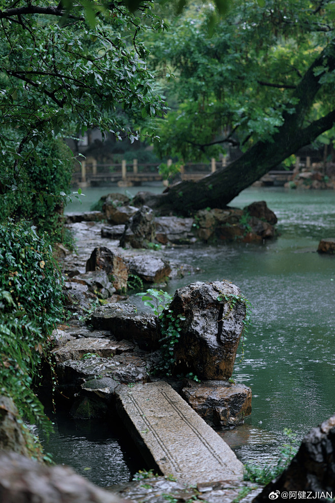 小场景 - 首页 - 微博