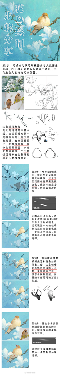 靳梦采集到笔刷