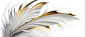 Photo banner luxury background feathers white gold ai pattern packaging weddings