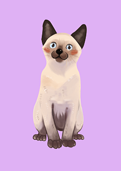 RUOSHUI_采集到猫咪