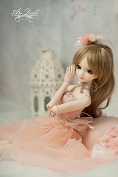 ElenaIRIS采集到DOLLs