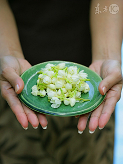 那一抹的时光采集到叶子 花 茶png