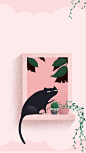 粉色小猫宠物小清新背景背景图 猫儿 设计图片 免费下载 页面网页 平面电商 创意素材