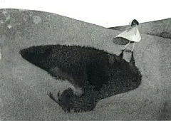 ほね插画
