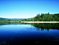 北海道的夏季风景