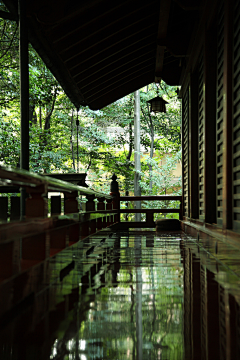 “——蔡”采集到风景