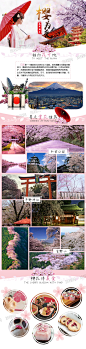 日本樱花旅行