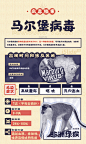 病毒档案信息图09
