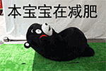 熊本熊表情包