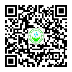 尚衫夏香采集到板式