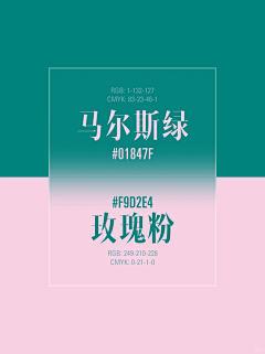 小羊羔子子采集到配色色卡