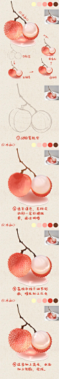 iPad水彩水果教程｜水晶荔枝_1_三味kim（可约稿）_来自小红书网页版