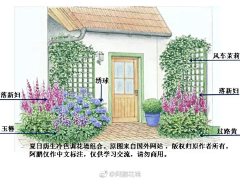 丁香星语采集到装修/庭院