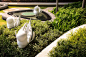 Cape Royale by TROP:Terrains+Open Space – mooool