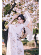 东京樱花季