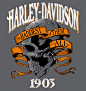 Harley-Davidson (14)