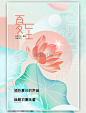 夏至荷花渐变简约海报