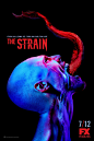 The Strain