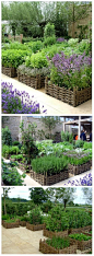 Raised beds with beautiful basket-weave borders: 