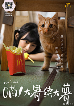 桃賣采集到FOOD POSTERS