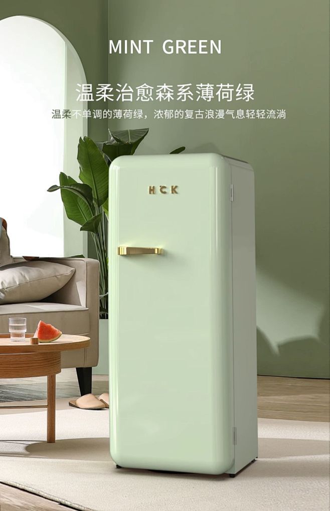 HCK哈士奇复古冰箱冷藏冷冻美家用卧室彩...