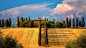 意大利赭托斯卡纳金黄田野自然风壁纸封面大图