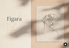 Figara - Line Drawing Illustrations⎪70+线描插画