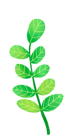 梦0202采集到花草