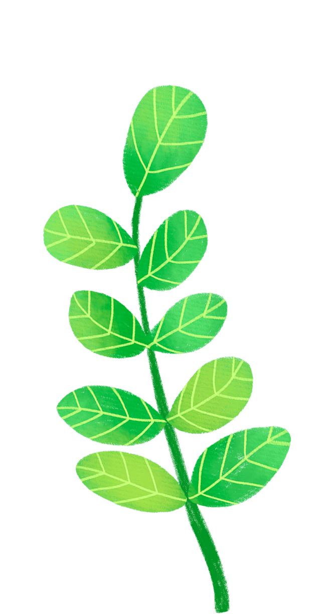 PNG高清免扣植物