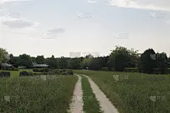 运动跑道,黄昏,草,农场,田径跑道,小路,植物,户外,意大利,草地