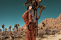 Fashion Desert Queens : Postproduction : Alex BrownModels - Sam Rea & Romy Makeup By Stephanie StellaStyled by Jamar Hunt 