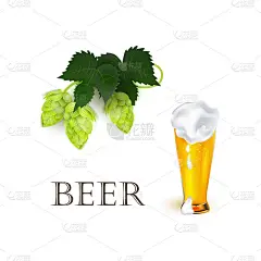 向量现实啤酒符号对象集