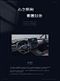 心之所向·素履以往——比亚迪车机主题设计大赛-主题/壁纸-UICN用户体验设计平台