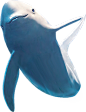 SEA LIFE 부산아쿠아리움  海豚