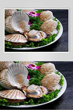 海鲜扇贝