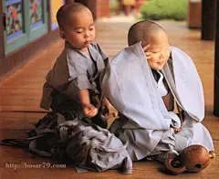 少林寺招生海报 小 和尚 萌